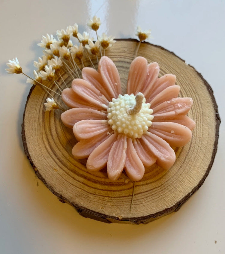 Lembrancinha com bolacha de madeira e margarida mini vela rose unidade