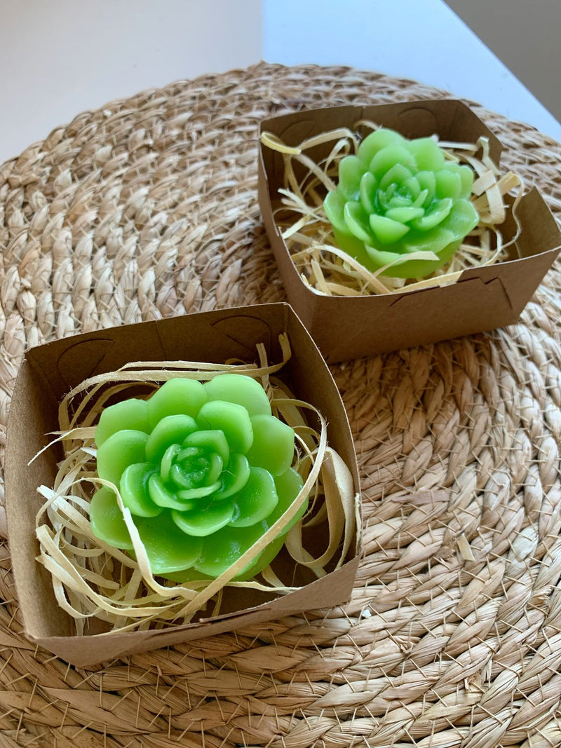 Caixinha de suculentas mini velas com caixa de papel kraft