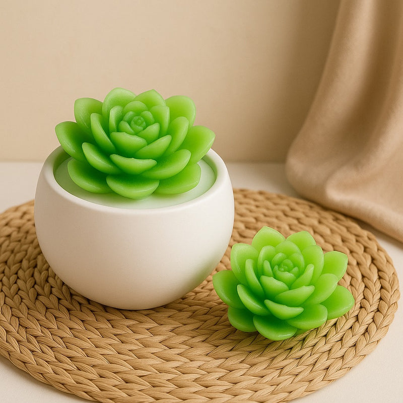 Suculentas mini vaso de gesso