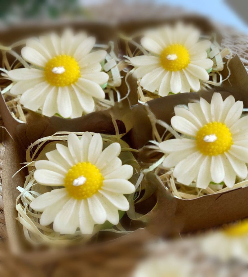 kit 4 mini margaridas na caixa ktaft  lembrancinhas e presentes