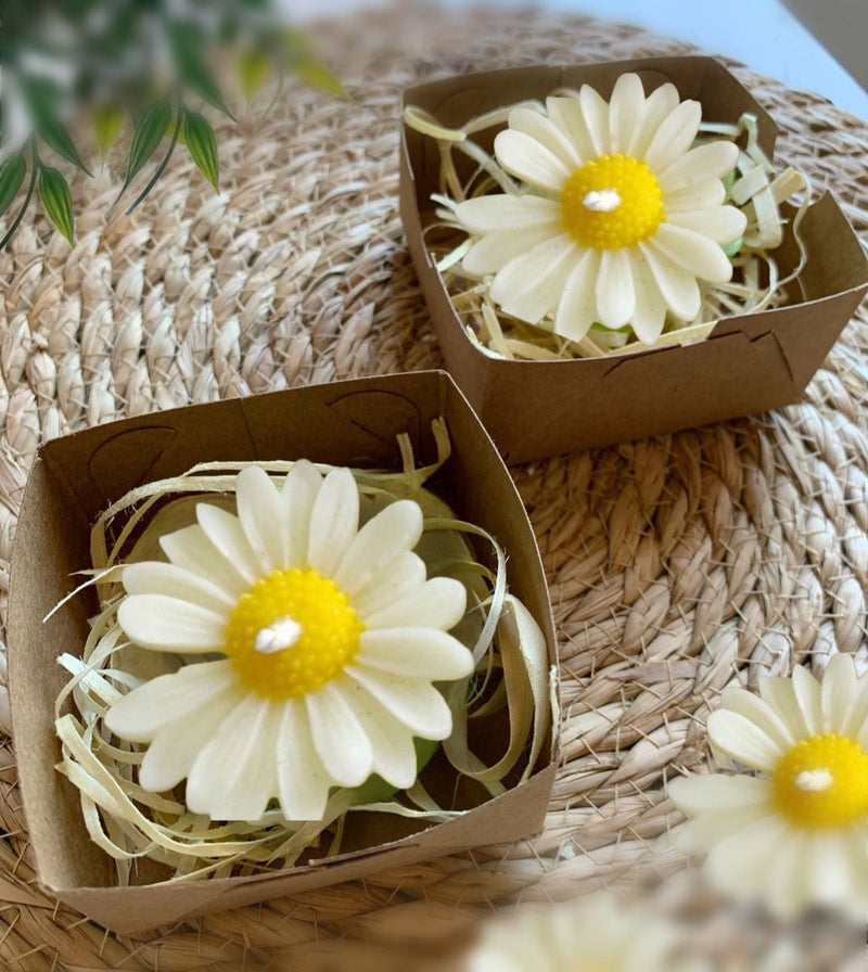 Kit 2 margaridas mini velas com caixa kraft