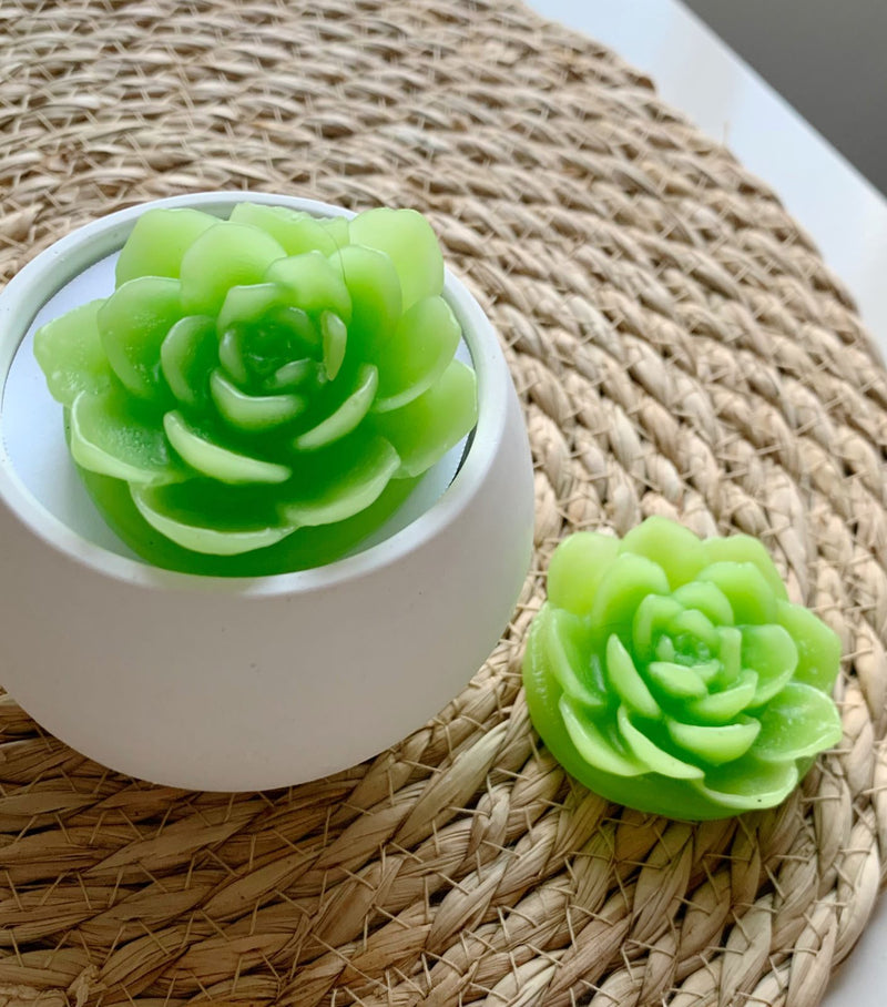 Suculentas mini vaso de gesso