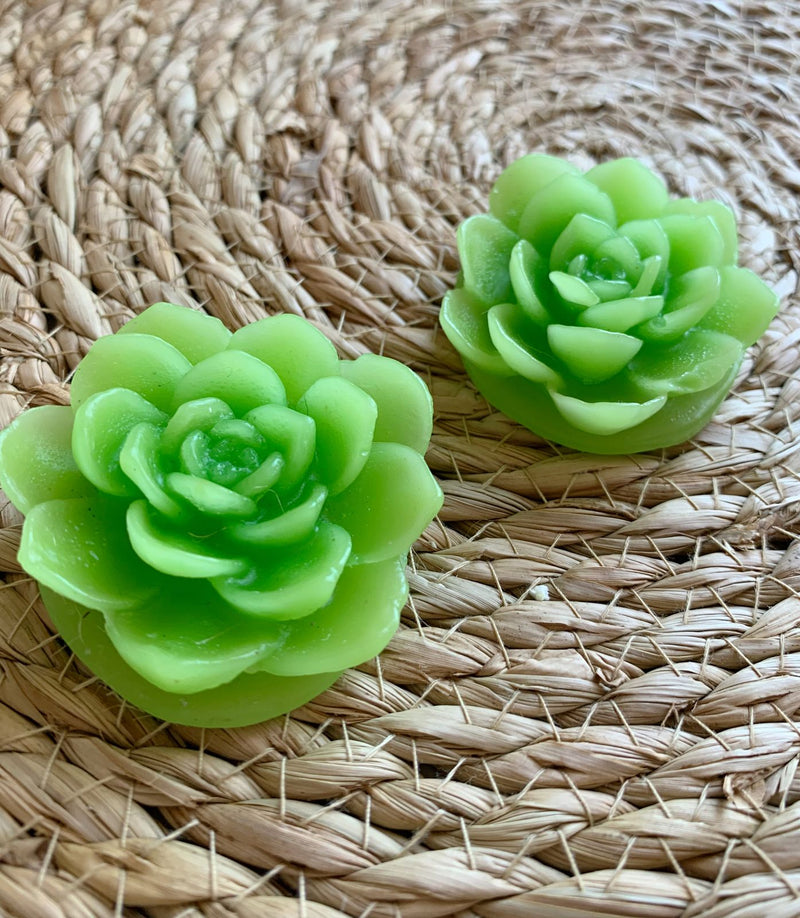 Caixinha de suculentas mini velas com caixa de papel kraft